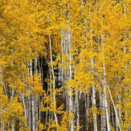 Aspen Springs Angel Fire Aparthotel Exteriör bild